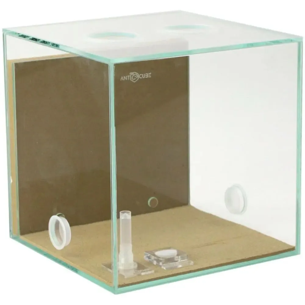 ANTCUBE Starter Set L – 20×20cm – Combi