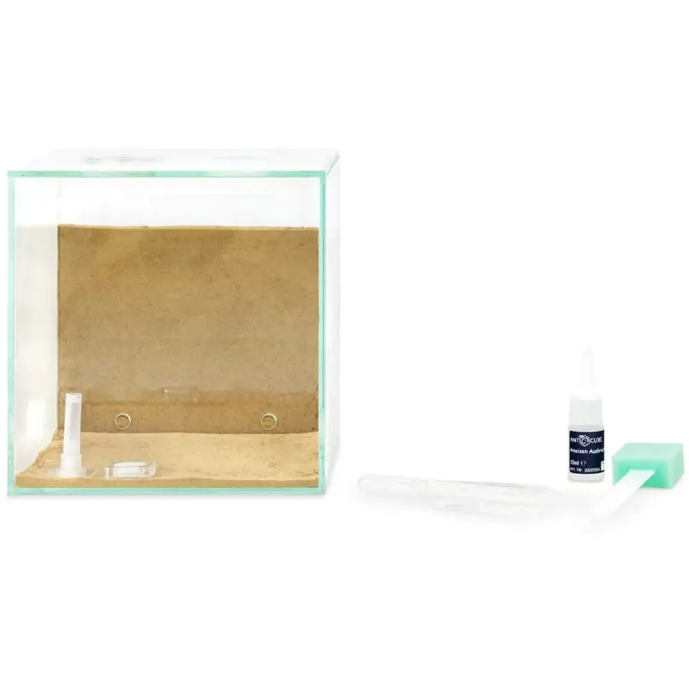 ANTCUBE Starter Set L – 20×20cm – Combi