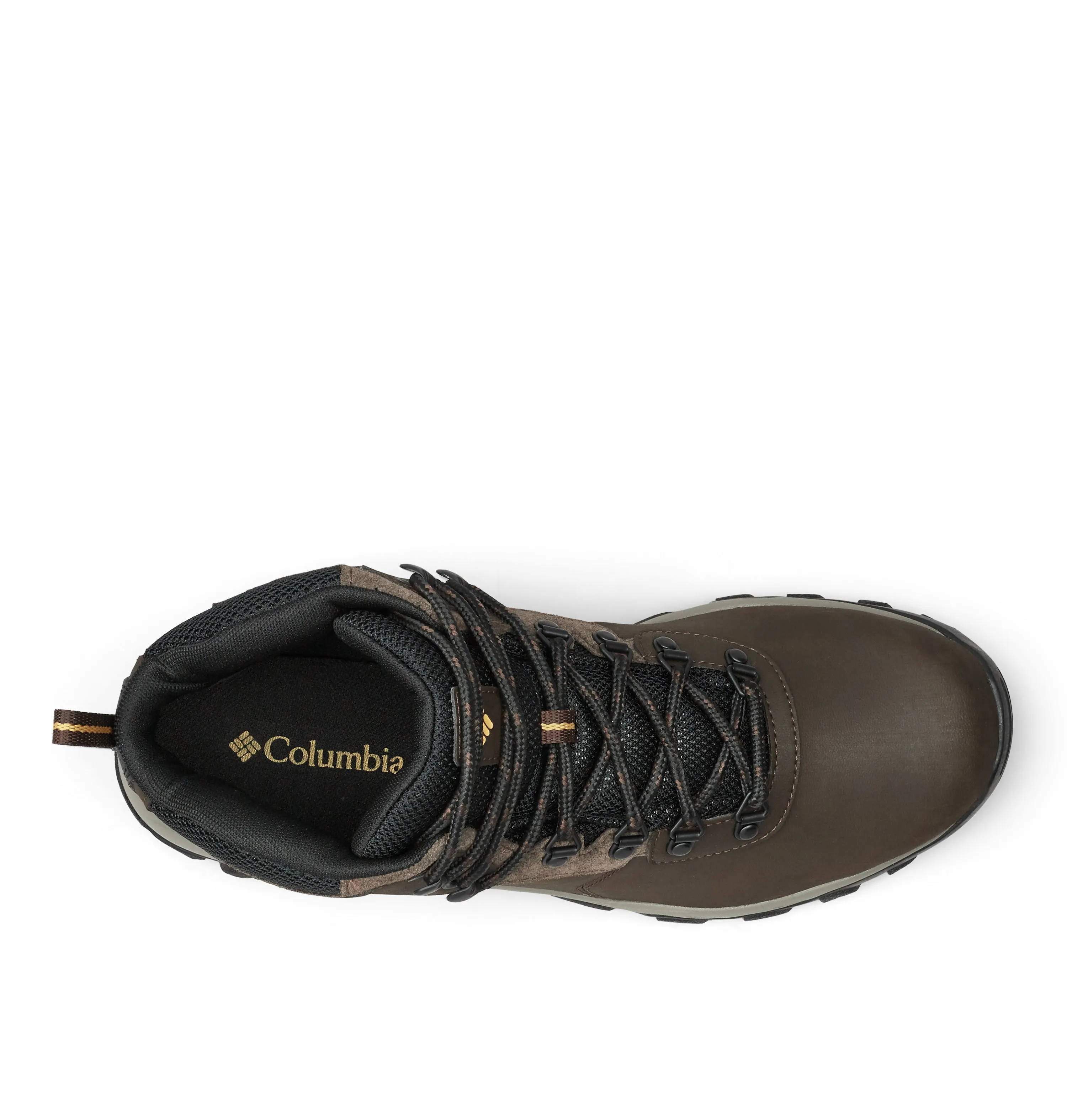 Columbia Men's Newton Ridge Plus II Waterproof Trail Boots (Cordovan/Squash)